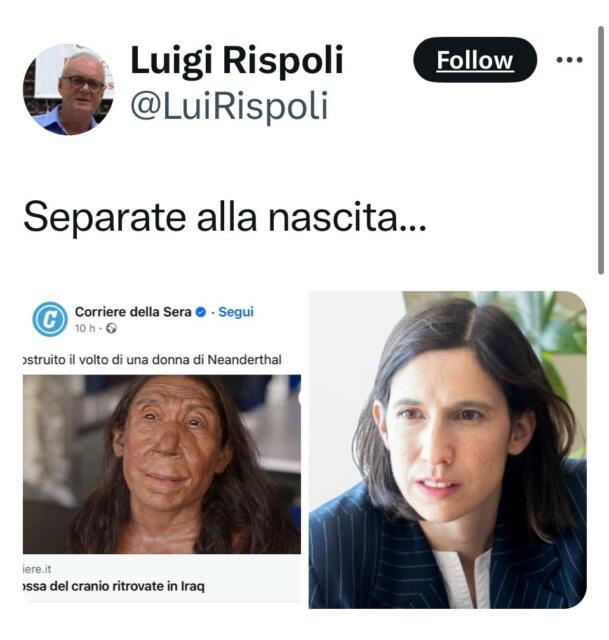 Dirigente di Fratelli d’Italia choc: “Elly Schlein come donna di Neanderthal”. Poi le scuse